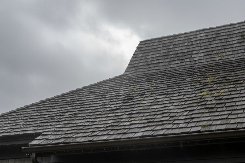Roof Shingles Replacement Service
